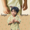 SAGE SPROUT