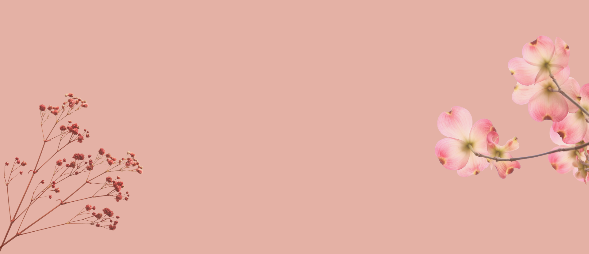 Untitled design (38)